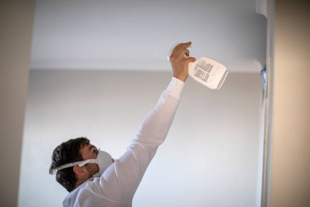Best Mold Remediation  in Mount Vernon, IN